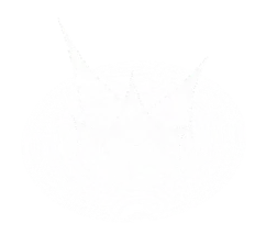 planar_loop