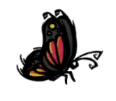 蝴蝶