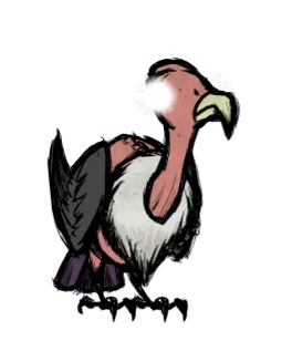 秃鹫