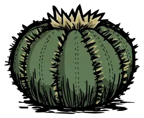 仙人掌