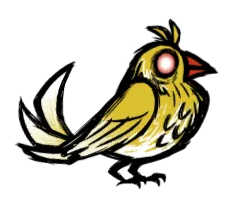 金丝雀