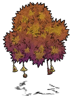 鸦年华树苗