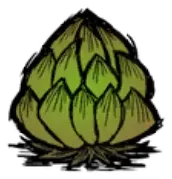 香蕉