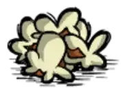 爆米花