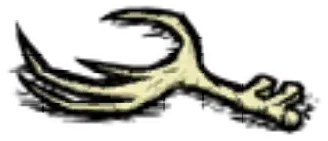 deer_antler1