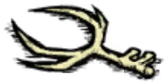 deer_antler3