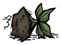 香蕉丛