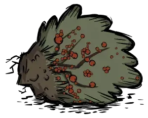 浆果丛