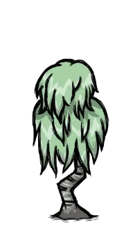 生长