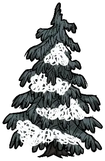 evergreen_sparse_tall