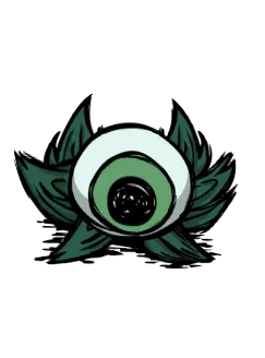 眼球草 · atk