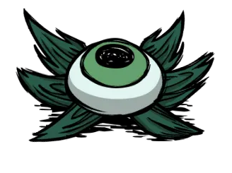 眼球草