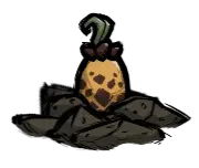 crop_seed
