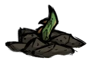 crop_sprout