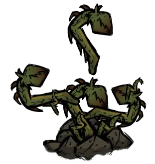 rot_to_sprout