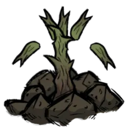 crop_rot