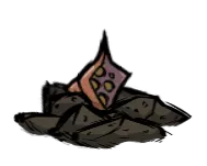 生长