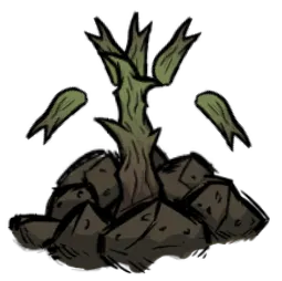rot_to_sprout