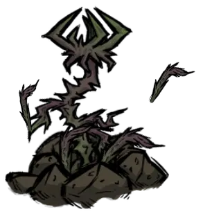 crop_rot