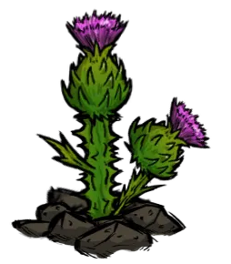 crop_small