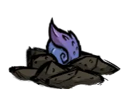 生长