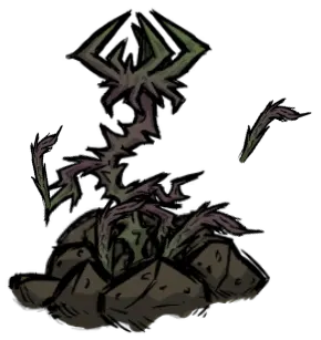 rot_to_sprout