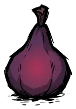 无花果