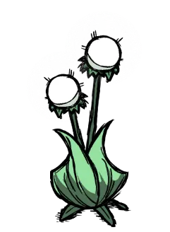 荧光花
