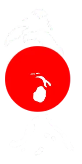 大虚影