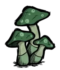 绿蘑菇