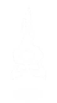 入侵型虚影