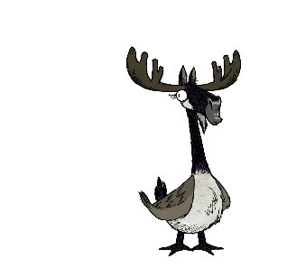 moose · death