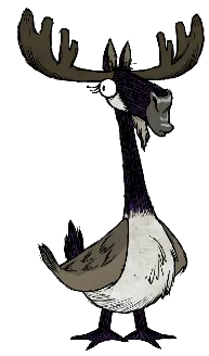 moose