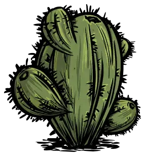 oasis_cactus