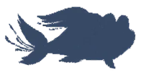 玉米鳕鱼
