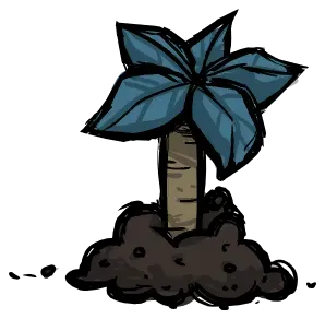 棕榈松果树苗