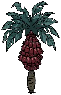 palmconetree_tall