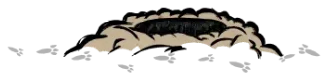 兔洞