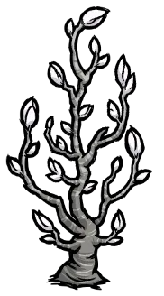 sapling_moon