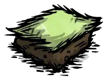 长草地皮