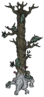 大树干